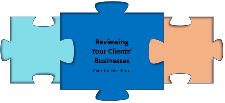 Business Reviews: Expert Assistance for a Wide Range of Critical Business Issues