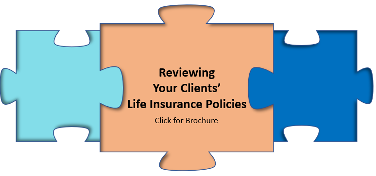 Life Insurance Policy Reviews: A Streamlined Process to Objectively Review Current Life Insurance Policies