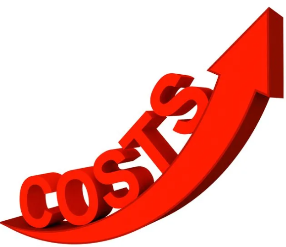 The Cost of Long-Term Care
